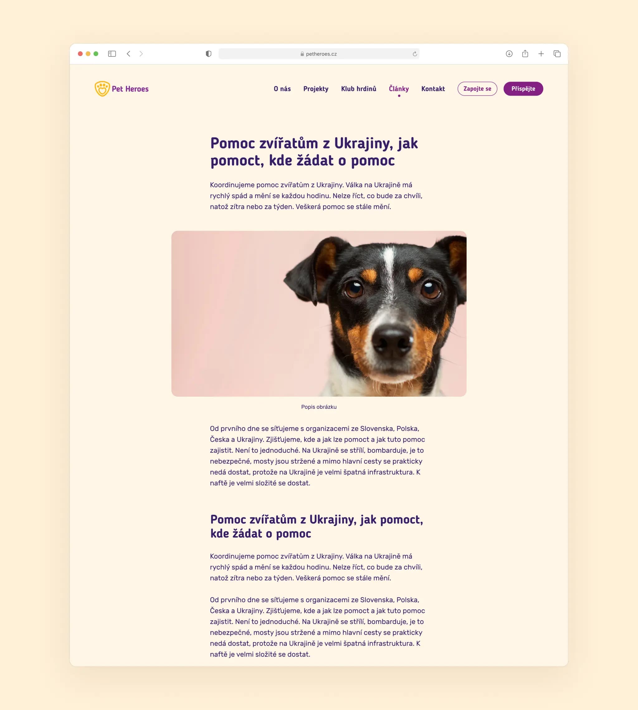 Blog article